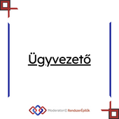 0. Ügyvezető 0. Ügyvezető