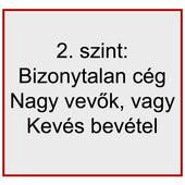 2. Szint: Bizonytalan cég - Nagy vevők, kevés bevétel 2. Szint: Bizonytalan cég - Nagy vevők, kevés bevétel