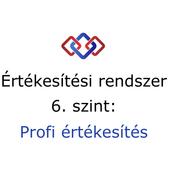 6. szint - PROFI értékesítés, 50-70%os lezárási arány 6. szint - PROFI értékesítés, 50-70%os lezárási arány