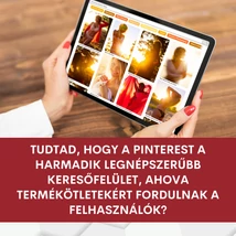 Buda Áron, Pintguru, Pinterest szakértő és szolgáltató